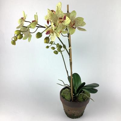 656 Galessi Italian Clock w/ Faux Decorative Orchid