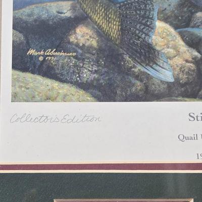 Vintage Collector's Edition 'Stinger-Hooked Walleye' Framed Print & Postage Stamp by Mark Susinno