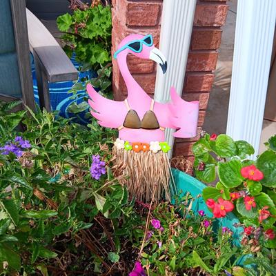 LIVE FLOWERING PLANTS