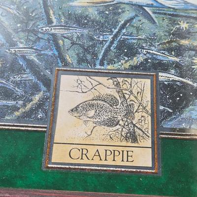 Miller High Life 'Crappie' Mirror by Scott Zoellick