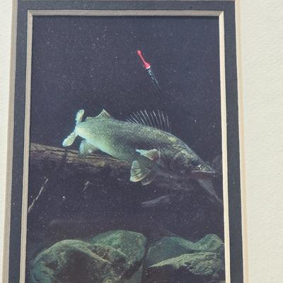 Numbered Walleye Print