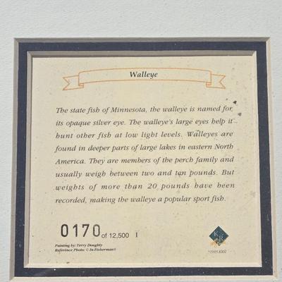 Numbered Walleye Print