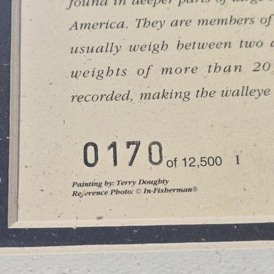 Numbered Walleye Print