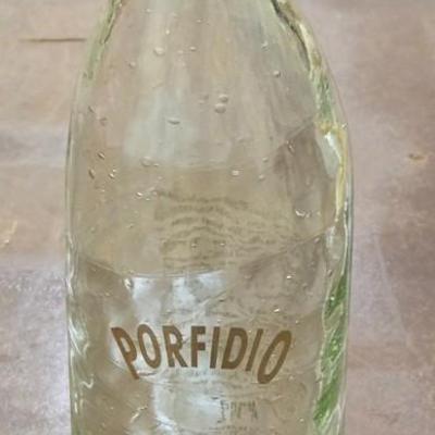 Vintage Porfidio Blown Glass Bottle with a Glass Cactus inside the Bottle