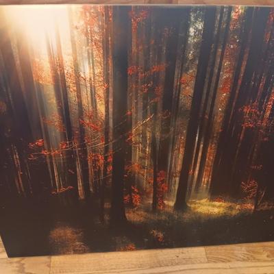 LARGE SOOTHING CANVAS PICTURE