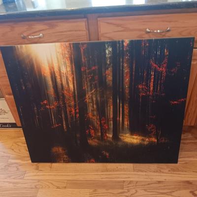 LARGE SOOTHING CANVAS PICTURE