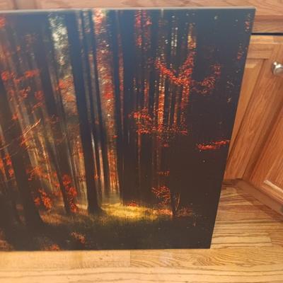 LARGE SOOTHING CANVAS PICTURE