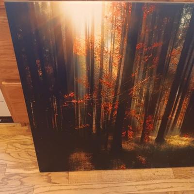 LARGE SOOTHING CANVAS PICTURE
