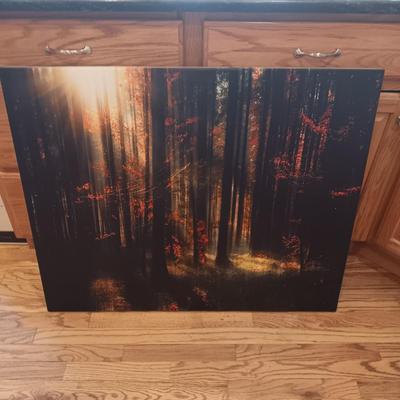 LARGE SOOTHING CANVAS PICTURE