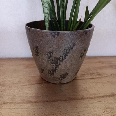LIVE PLANT & ORNATE GOLD COLORED FOYER OR SOFA TABLE