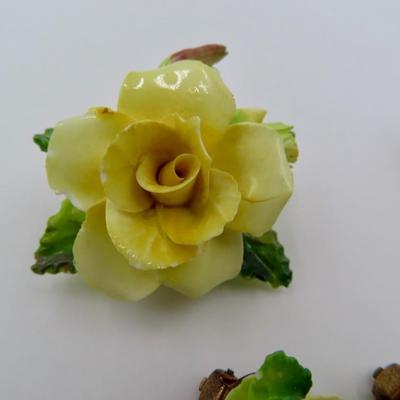 Porcelain Rose Collection