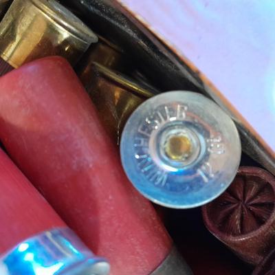 Shotgun shells - most look to be 12 Guage