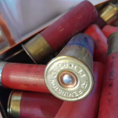 Shotgun shells - most look to be 12 Guage