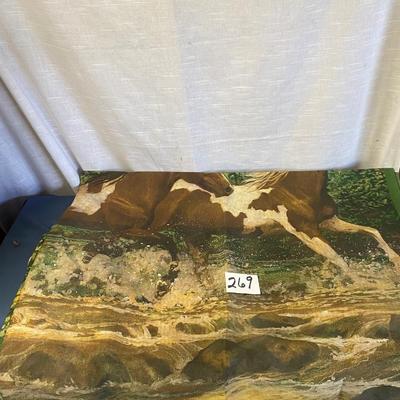 Horse Shower Curtain