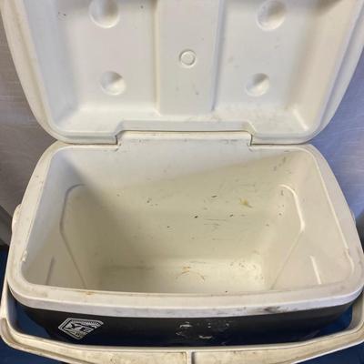 Igloo Cooler
