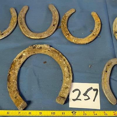 Horse Shoe Lot