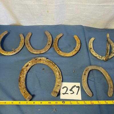 Horse Shoe Lot
