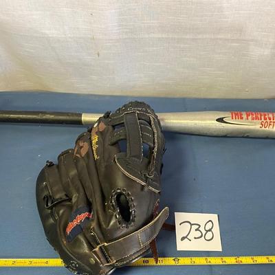 Baseball Bat and Glove