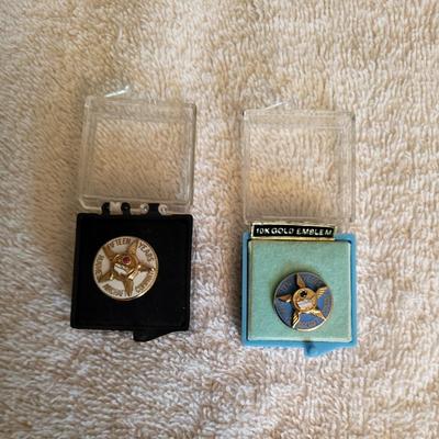TWO 10k GOLD PINS