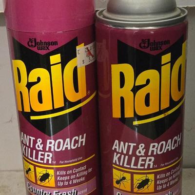 Raid Ant & Roach Killer