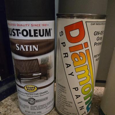 Sprayer Clear Coats and Paint