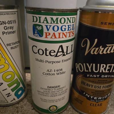 Sprayer Clear Coats and Paint