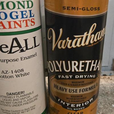 Sprayer Clear Coats and Paint