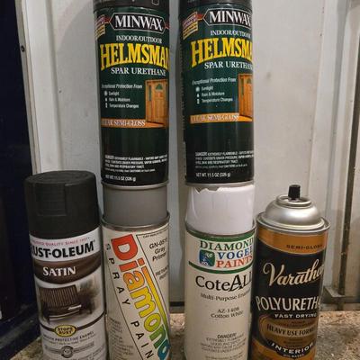 Sprayer Clear Coats and Paint