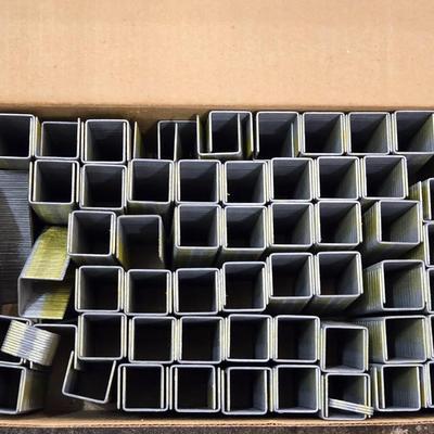 Senco Large Box of 1" Crown Staples