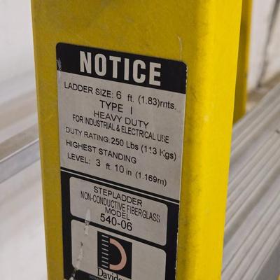 Davidson 6ft Ladder