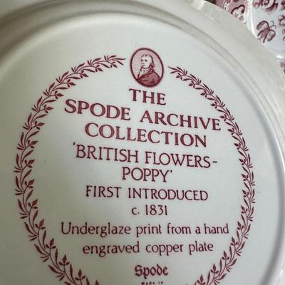 SPODE BRITISH FLOWERS POPPY
