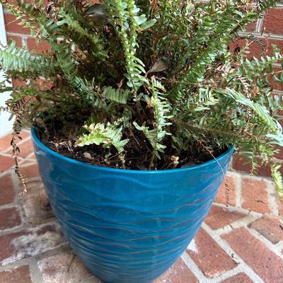 TEAL PLASTIC PLANTER PAIR
