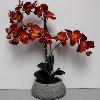 Silk Orchid in Pot