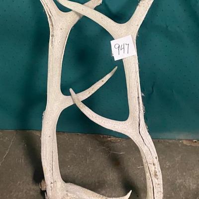 Old Horns
