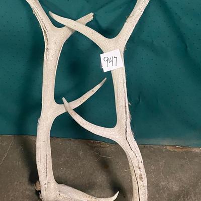 Old Horns