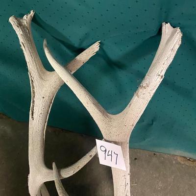 Old Horns