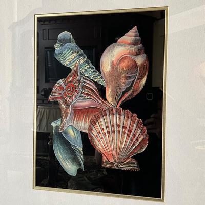 723 Decorative Shell Prints In Silver Frame