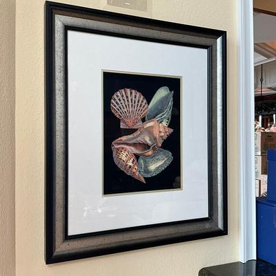 723 Decorative Shell Prints In Silver Frame