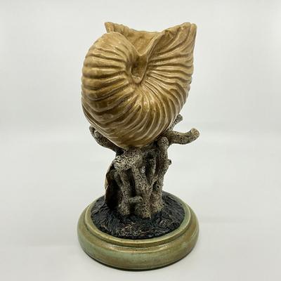 726 Pair of Decorative Nautilus