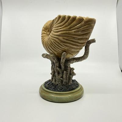 726 Pair of Decorative Nautilus