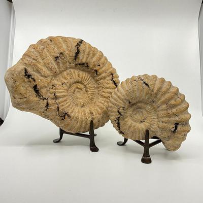 728 Pair of Faux Ammonite on Stands