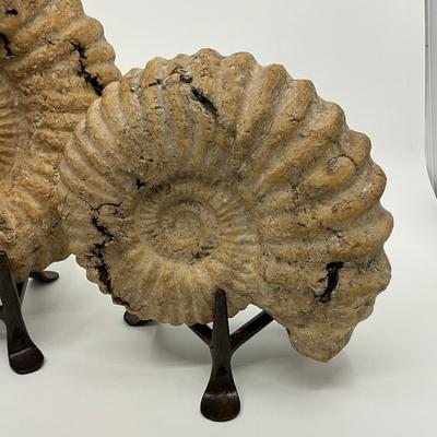 728 Pair of Faux Ammonite on Stands