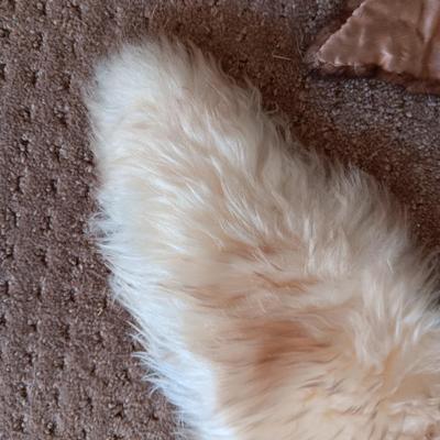 MINK AND ?? COLLARS