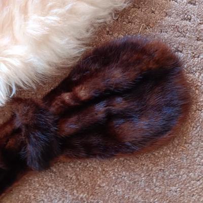 MINK AND ?? COLLARS
