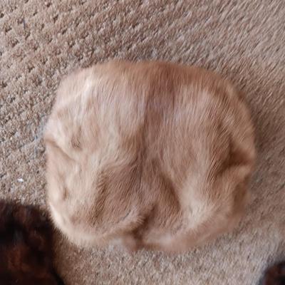 FUR MUFF AND A MINK COLLAR