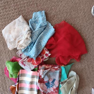 A COLLECTION OF SCARVES (2)