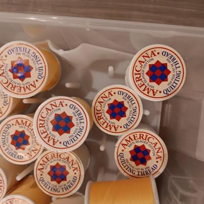 AMERICANA QUILTING THREAD IN CARRY CASE