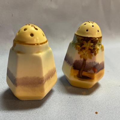 Salt & pepper shakers