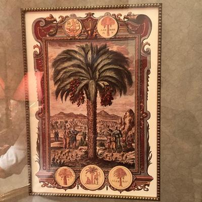 817 Framed Palm Tree Print