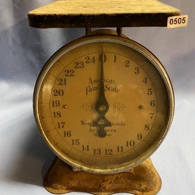 American family 25# scale
